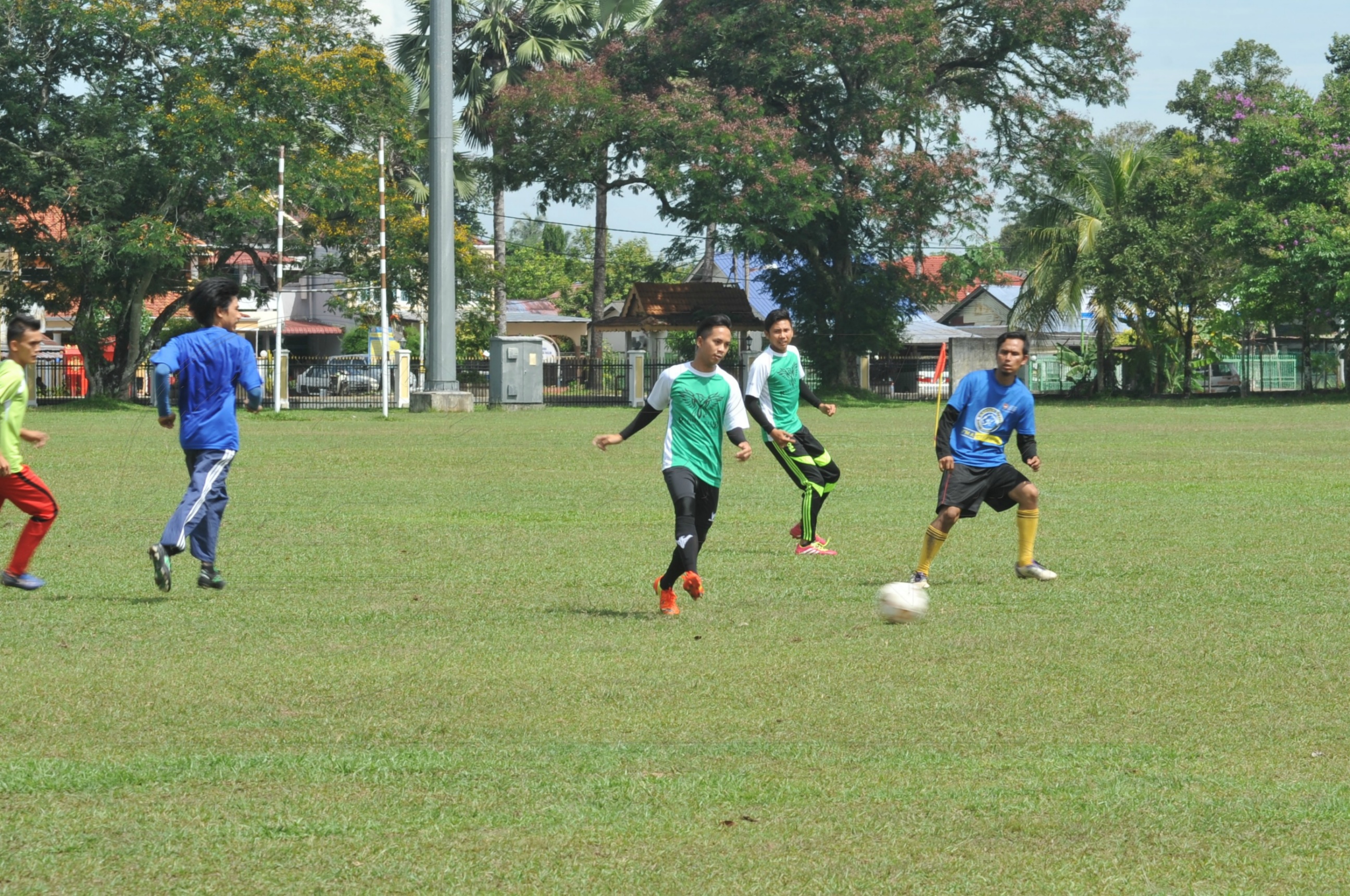 PRO 15 53 KIESTA HAS 6133